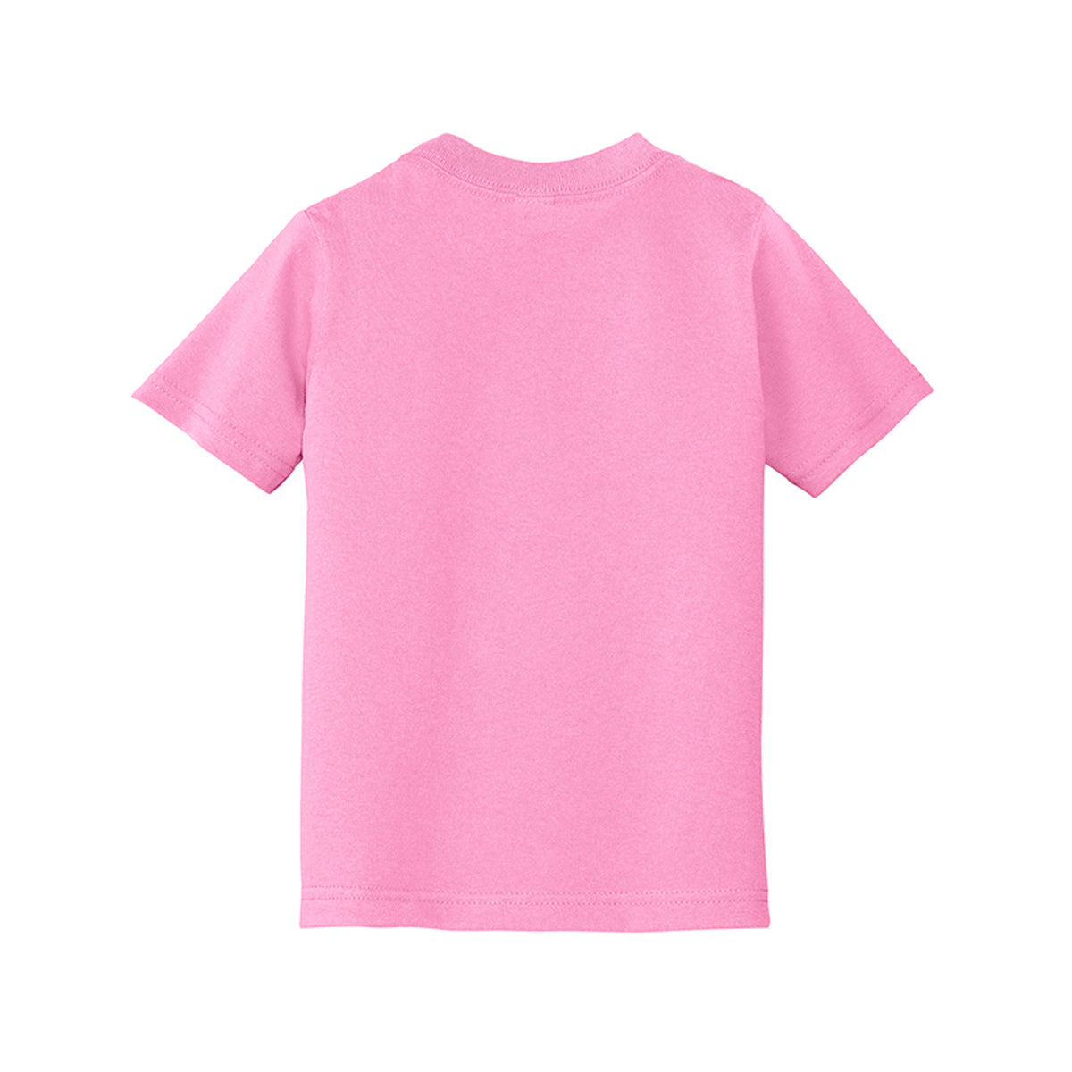 FERAL Raccoon Graphic Tee