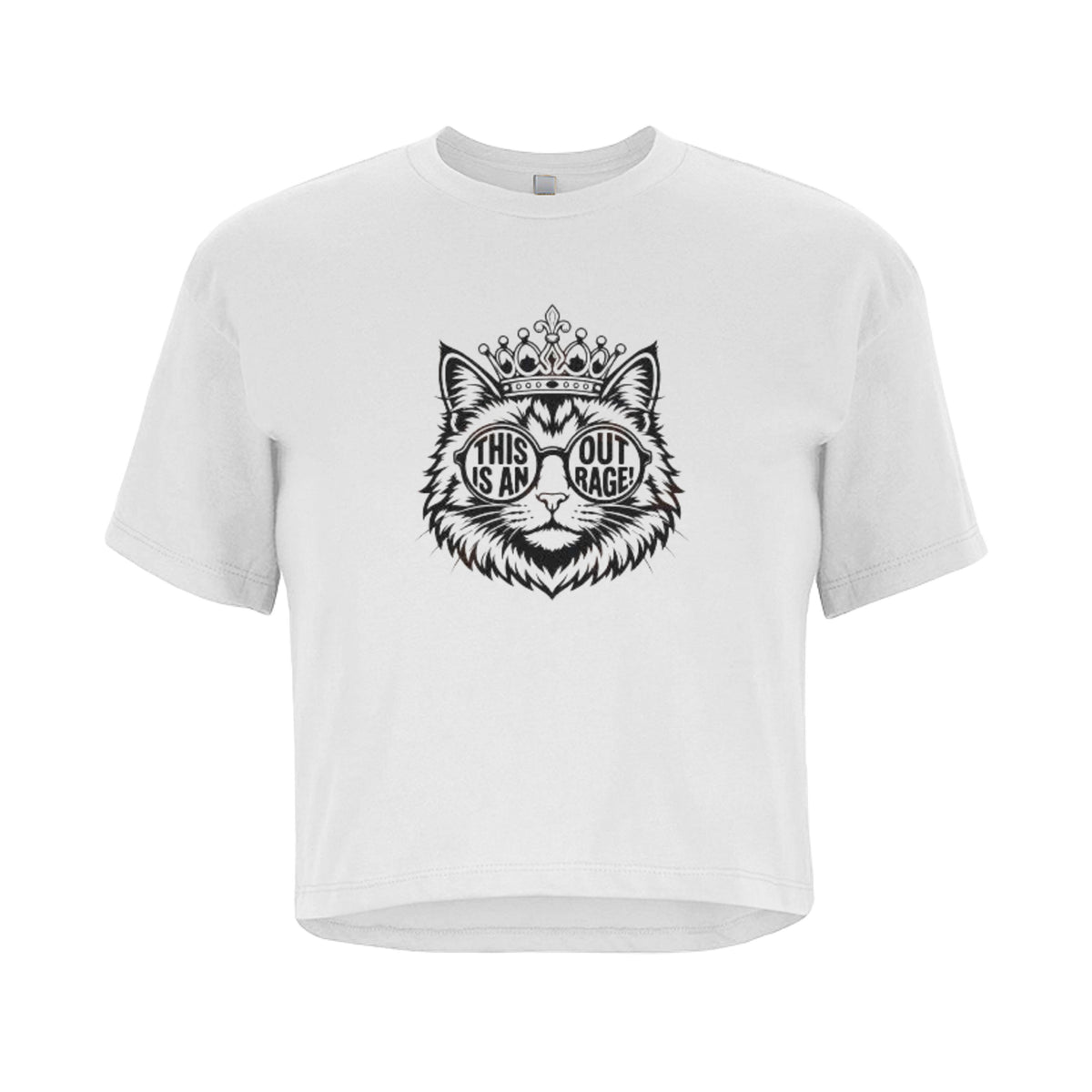 This Is an Outrage! Cat Graphic Crop Tee